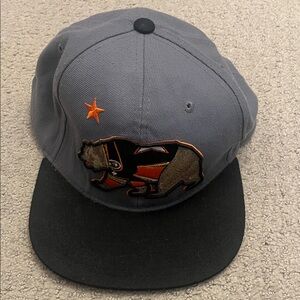 Anaheim Ducks CA Bear hat